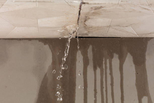 Professional Structural Drying technician working in Henley, MO